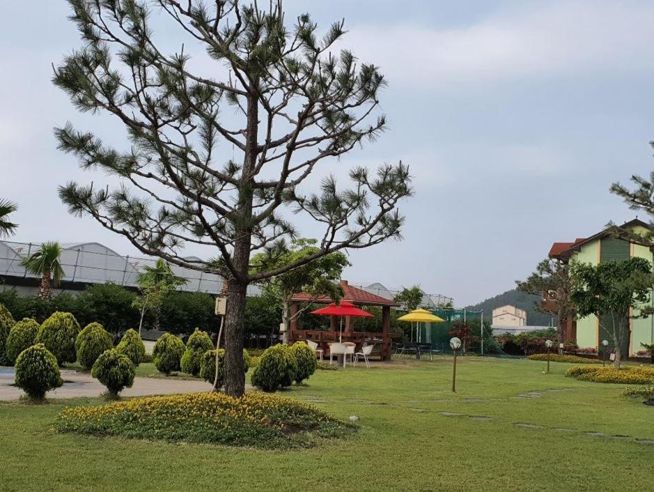 Jeju Time-Travel Pension Extérieur photo
