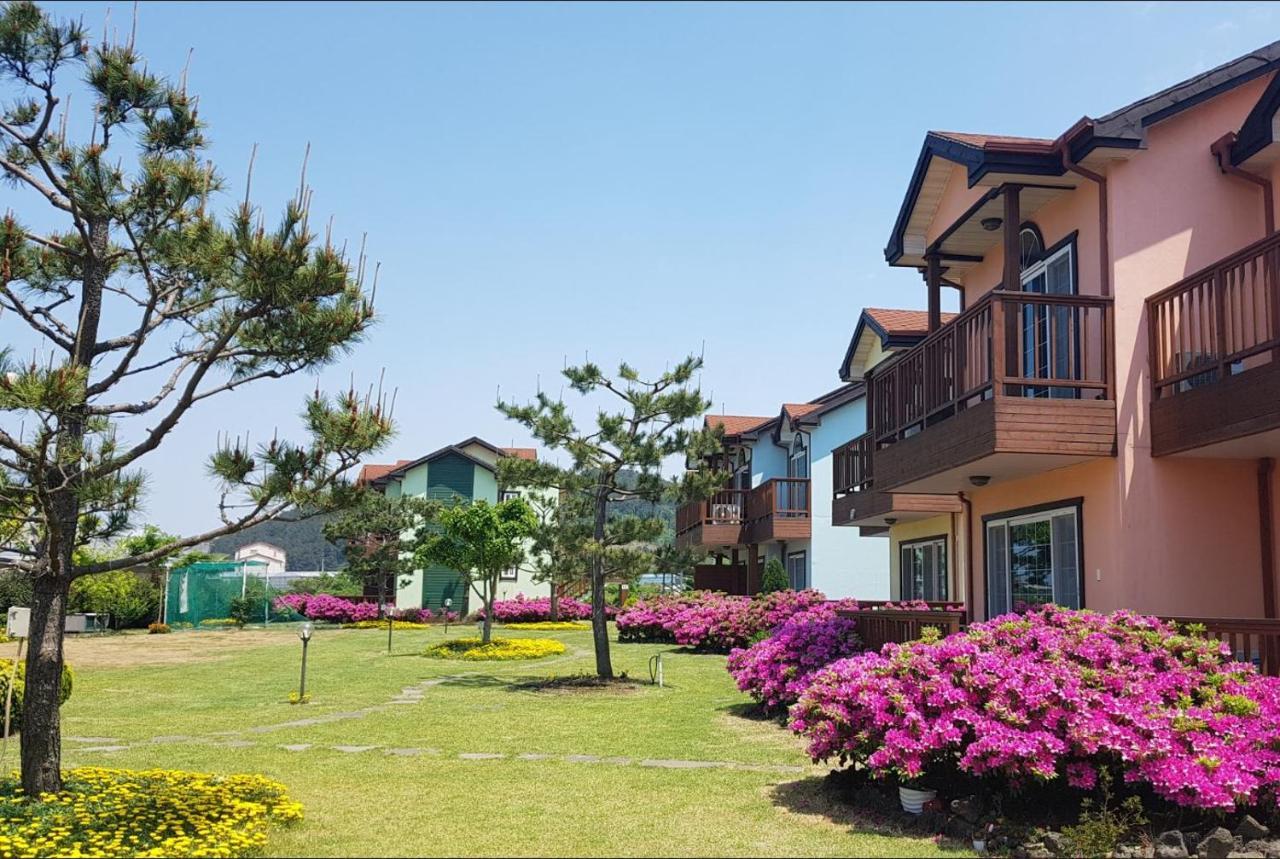 Jeju Time-Travel Pension Extérieur photo