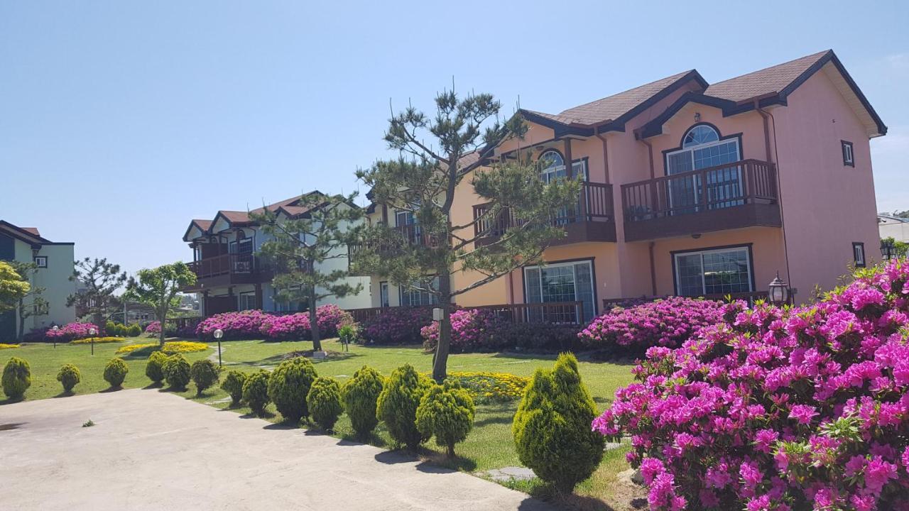 Jeju Time-Travel Pension Extérieur photo